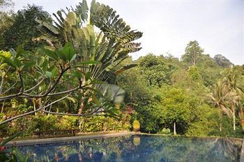 Tiger Rock Hotel Pangkor Island Exterior foto